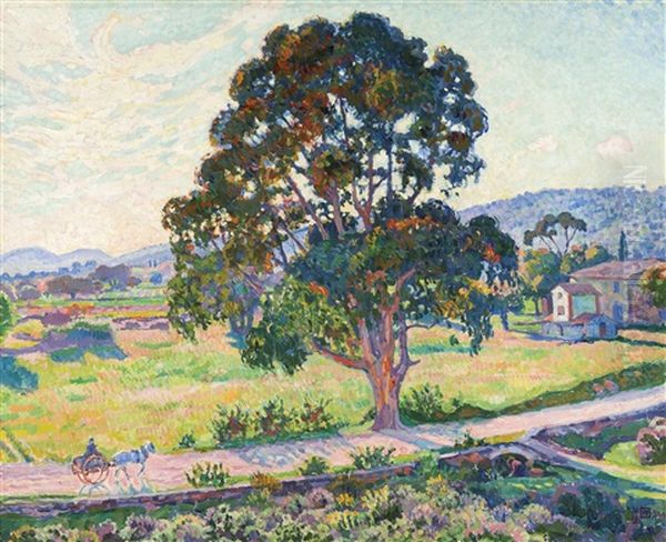 L'eucalyptus Sur La Route De Bormes Oil Painting by Theo van Rysselberghe