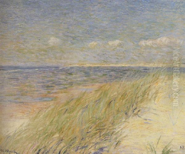 Les Dunes Du Zwin, Knokke Oil Painting by Theo van Rysselberghe