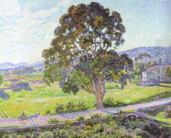 L'eucalyptus Ur La Route De Bormes Oil Painting by Theo van Rysselberghe