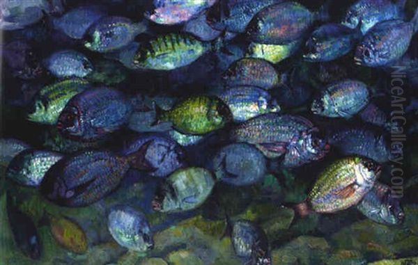 Banc De Poissons Oil Painting by Theo van Rysselberghe