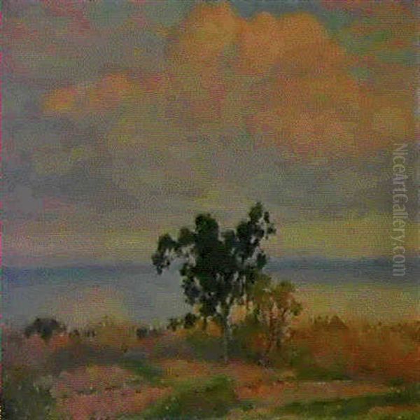 La Rade De Bormes (nuages Rouges) Oil Painting by Theo van Rysselberghe