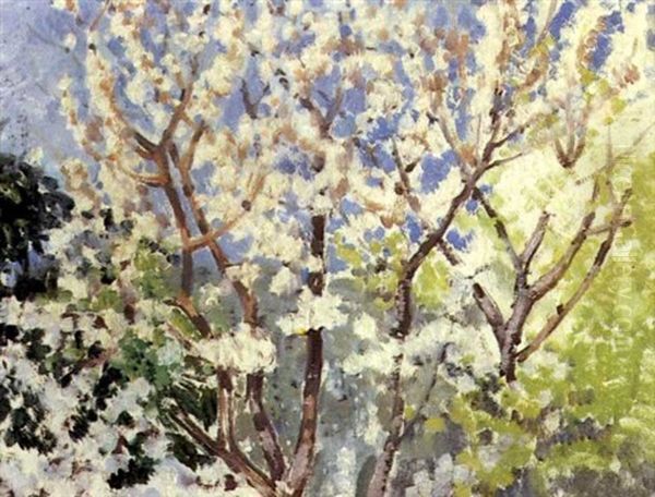 Cerisiers En Fleurs Oil Painting by Theo van Rysselberghe