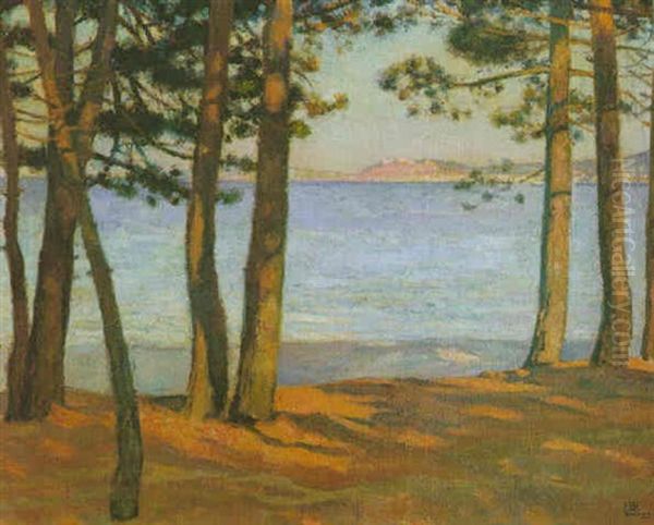 Paysage Au Bord De Mer Oil Painting by Theo van Rysselberghe