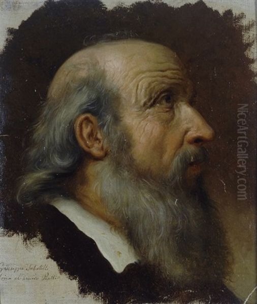 Profilo Di Uomo Con Barba Oil Painting by Giuseppe Sabatelli