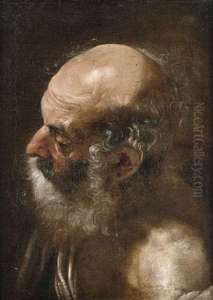 Der Heilige Hieronymus Oil Painting by Andrea Sacchi