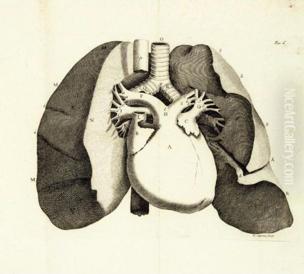 Trattato Della Struttura Del Cuore Della Sua Azione E Delle Sue
 Infermita...tradotto Per La Prima Volta Dal Francese. Oil Painting by Jean-Baptiste Boudard