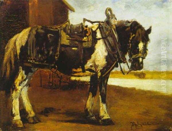 Pferd Im Geschirr by Josef Andreas Sailer