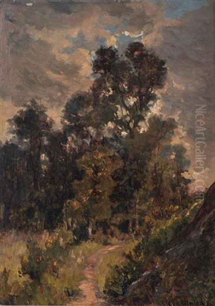 Paysage Boise Oil Painting by Jean Aime Saint-Cyr Girier