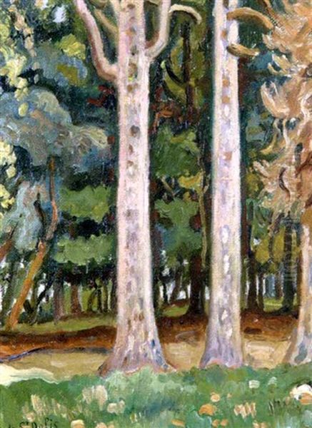 L'allee D'arbres Oil Painting by Henri Lienard De Saint-Delis