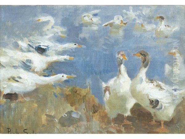 Study Of Geese Oil Painting by Paolo Sala