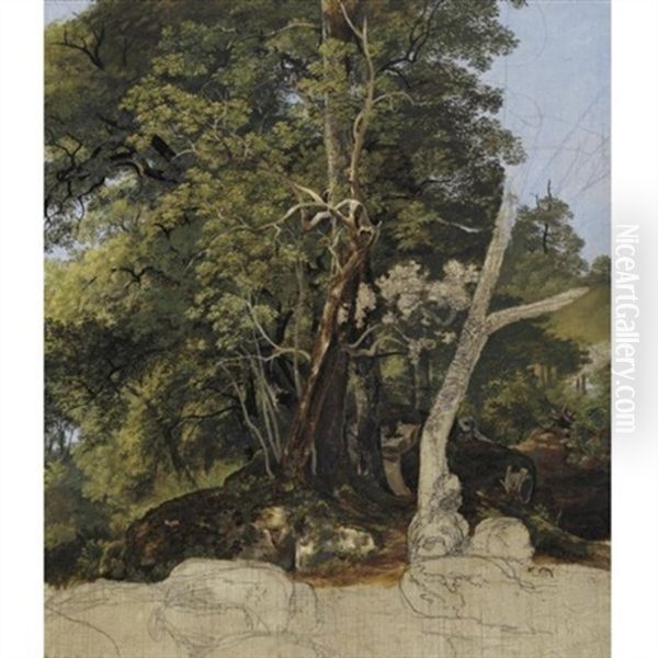 Study Of Trees Oil Painting by Friedrich Salathe