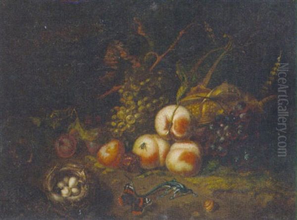 A Forest Floor Still Life With Peaches, Plums, Grapes And Sweetcorn On A Bank With A Lizard, Bird's Nest, Fly, Snail, And A Red Admiral Butterfly Oil Painting by Tommaso Salini