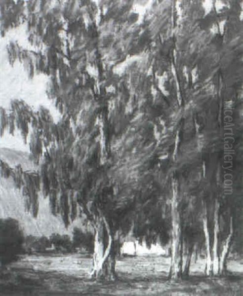 Landscape With Eucalyptus Trees Oil Painting by Alta West Salisbury