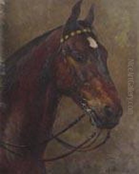 Testa Di Cavallo Oil Painting by Aimable Bouillier