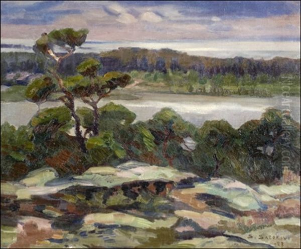 Saaristomaisema Paraisilta Oil Painting by Santeri Salokivi