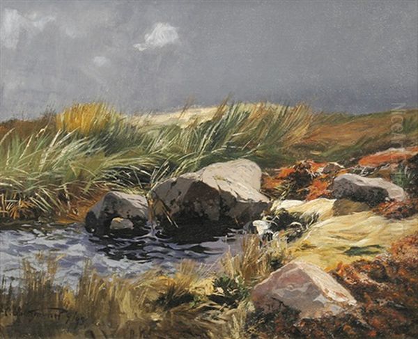 Landschaft Mit Felsigem Gewasser Oil Painting by Carl Saltzmann