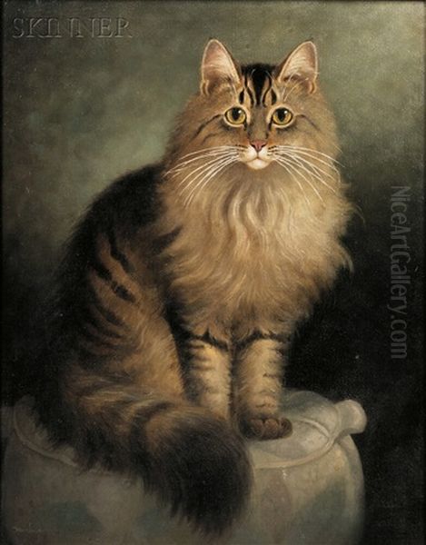 Portrait Of A Maine Coon Cat Oil Painting by Percy A. Sanborn