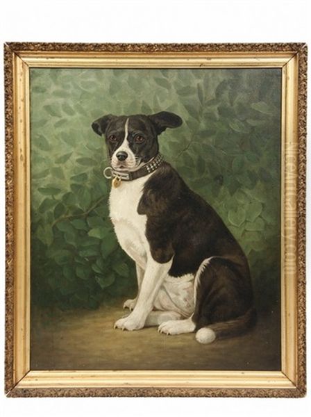 Dog Sitting Oil Painting by Percy A. Sanborn