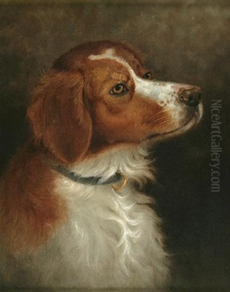 Setter Head Study Oil Painting by Percy A. Sanborn