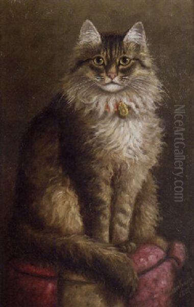 Gray Tabby On A Purple Cushion Oil Painting by Percy A. Sanborn