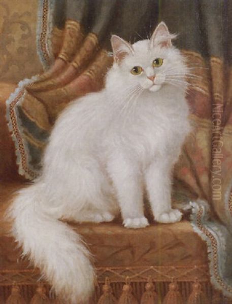 White Long Hair Oil Painting by Percy A. Sanborn