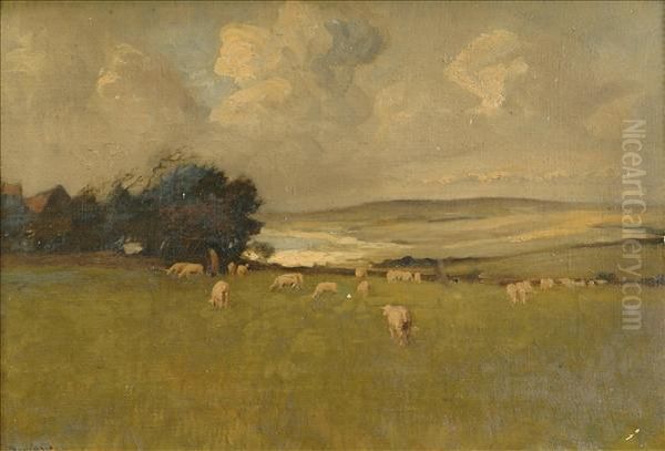 Evening Landscapewith Sheep Oil Painting by Emile Boulard