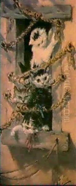 Gatos Curiosos Asomados A La Ventana Oil Painting by Emilio Sanchez Sola