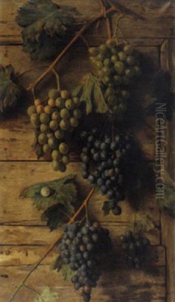 Tralcio Con Grappoli D'uva Oil Painting by Giovanni Sandrucci