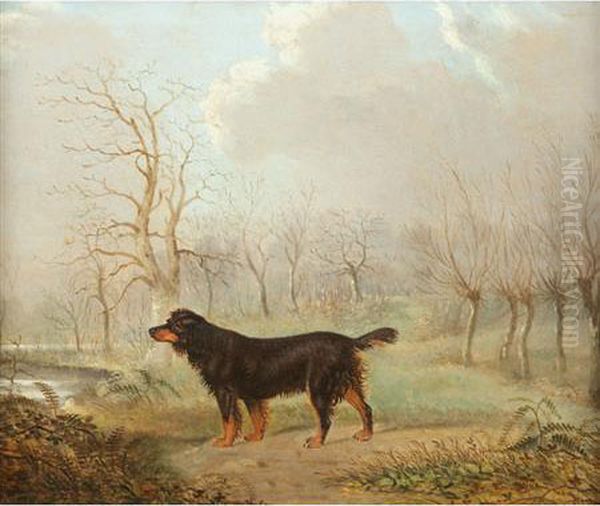 Gordon Setter In A Landscape Oil Painting by Augustus S. Boult