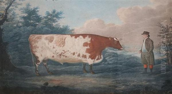 The Durham Ox Oil Painting by John Boultbee