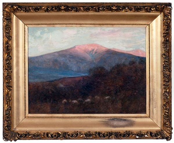 Mount Lafayette, Franconia, New Hampshire Oil Painting by Daniel Santry