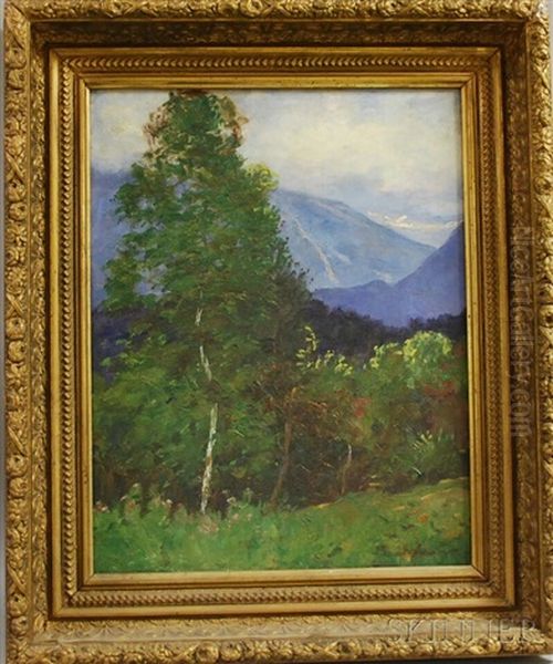 Summer Landscape With Franconia Notch In The Distance Oil Painting by Daniel Santry