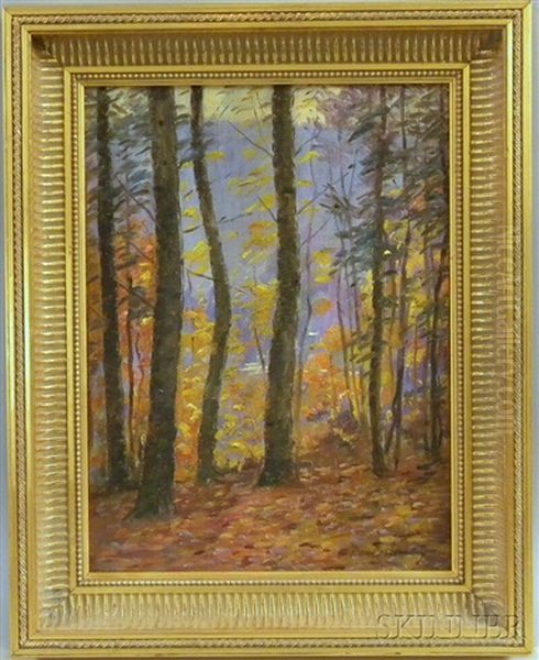 Sunlight Through The Fall Trees Oil Painting by Daniel Santry