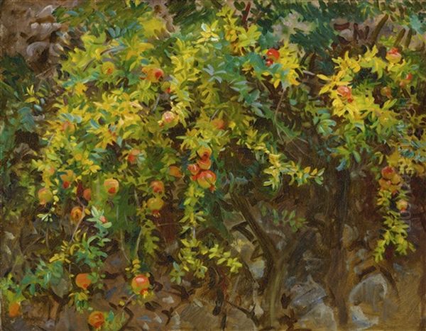 Pomegranates, Majorca Oil Painting by John Singer Sargent