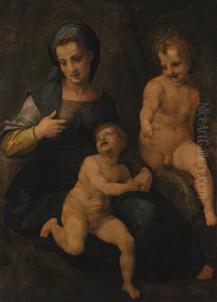 The Madonna And Child With Saint John Oil Painting by Andrea Del Sarto