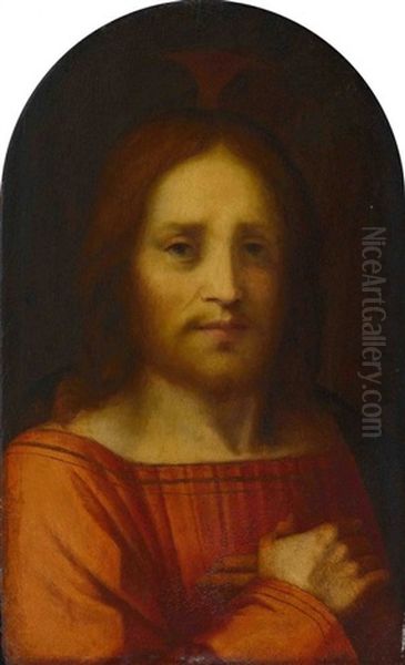 Christus Der Erloser Oil Painting by Andrea Del Sarto