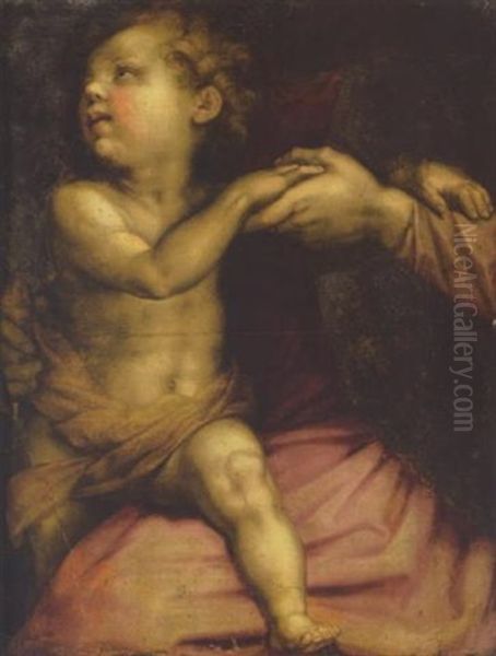 The Christ Child Oil Painting by Andrea Del Sarto