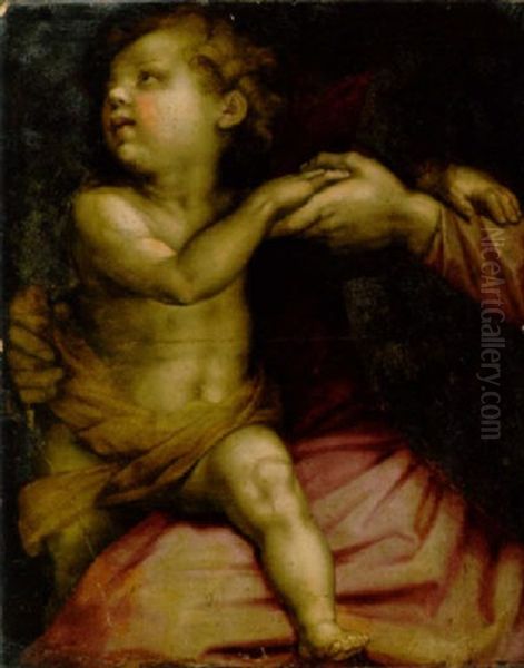 The Christ Child Oil Painting by Andrea Del Sarto