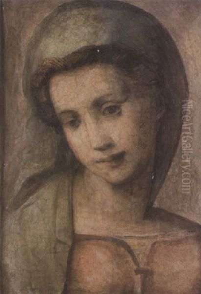 The Virgin Oil Painting by Andrea Del Sarto