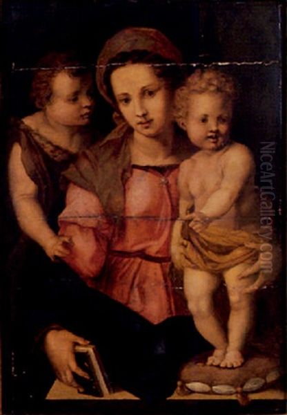 La Vierge, L'enfant Jesus Et Saint Jean-baptiste Oil Painting by Andrea Del Sarto