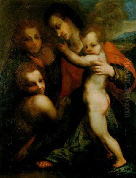 Madonna Mit Kind, Dem Johannesknaben Und Engeln by Andrea Del Sarto