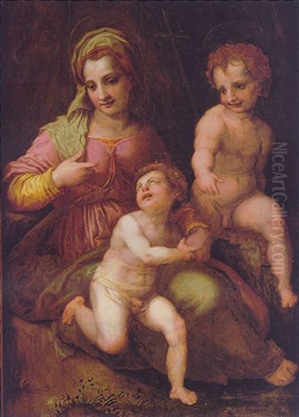 The Madonna And Child With The Infant Saint John Oil Painting by Andrea Del Sarto