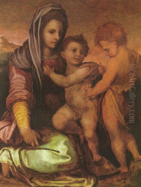 Madonna And Child With Saint John Oil Painting by Andrea Del Sarto