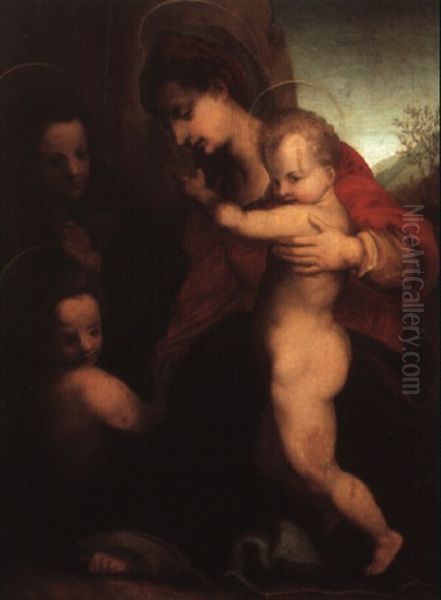 The Madonna And Child With The Infant St. John The Baptist Oil Painting by Andrea Del Sarto