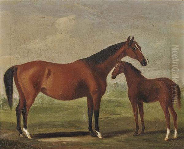 A Mare With Foal Oil Painting by Francis Sartorius the Elder