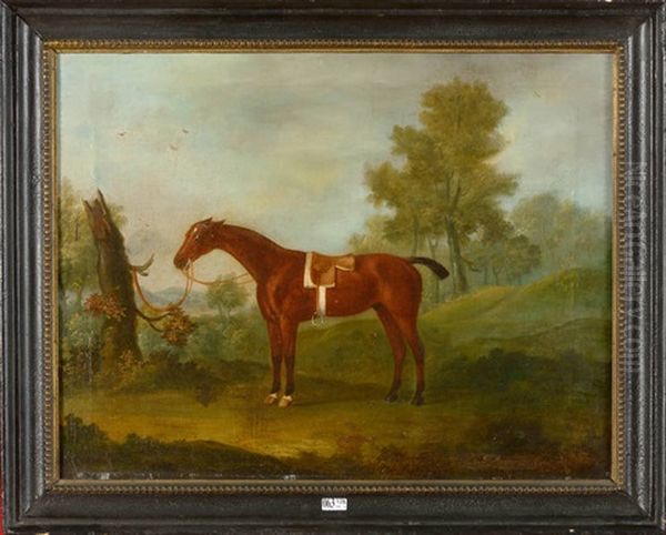 Cheval Attache Dans Une Clairiere Oil Painting by Francis Sartorius the Elder