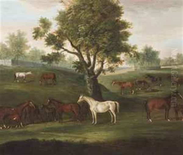 Brood Mares And Foals Grazing Oil Painting by Francis Sartorius the Elder