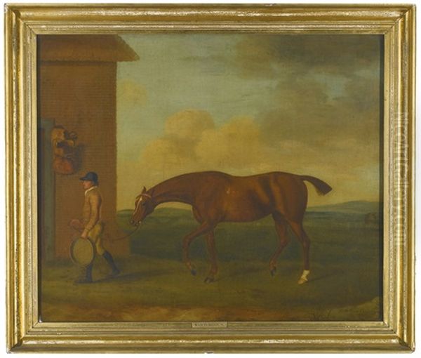 A Chestnut Racehorse Led By A Groom Oil Painting by Francis Sartorius the Elder