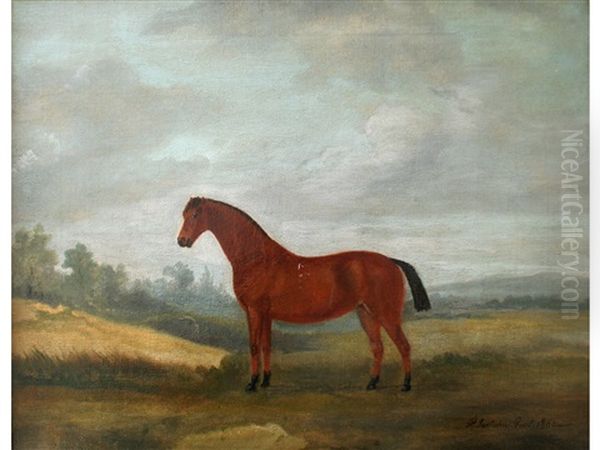 Bergamot, A Light Bay Horse In A Landscape Oil Painting by Francis Sartorius the Elder