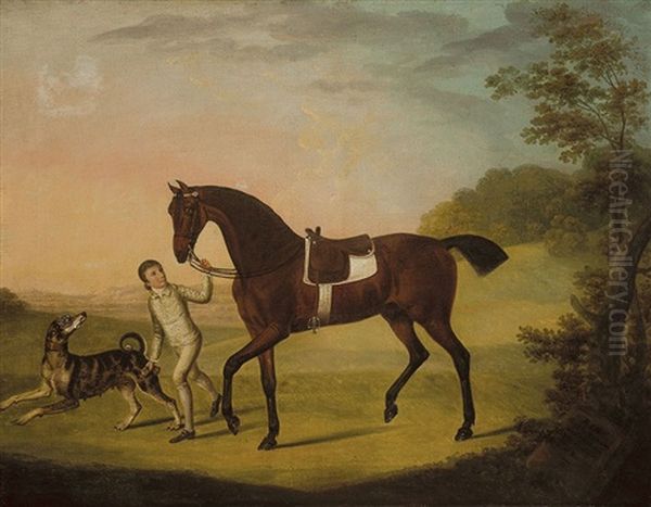 Rib, Bred By Mr Curwen Oil Painting by Francis Sartorius the Elder